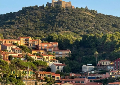 Château royal de Collioure dominant le village et la Côte Vermeille