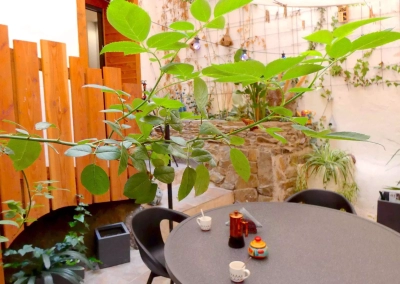 Patio privatif aménagé de la suite Le Ginkgo à Collioure