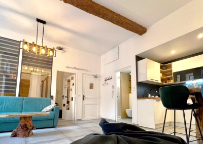 Salon du Ginkgo avec canapé bleu et cuisine ouverte moderne